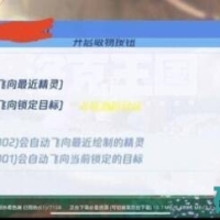 洛克王国手游cw公益多功能直装2.0