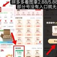 PDD领5.88无门槛券9.21
