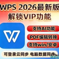 WPS Office Pro Plus专业版增强版！高级专业版！6.23