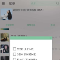 LX-N Pro 魔改版v26.06.10