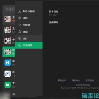 微信Windows版 v4.1.12.24多开&消息防撤回公测版绿色版x64位（7.22更新）