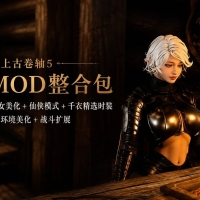 《上古卷轴5》全女美化Mod整合包-仙侠实验室版9.3