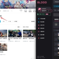 BLDDD V1.3 哔哩工具 7月22日更新