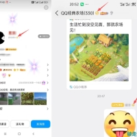 最新内测的QQ黄V认证教程9.6
